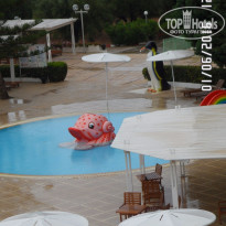 фото из отзыва ID 1366030