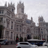 фото из отзыва ID 1366063