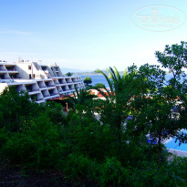 фото из отзыва ID 1360942