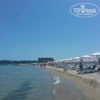 фото из отзыва ID 1366111