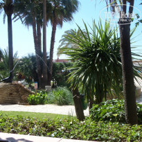 фото из отзыва ID 1366197