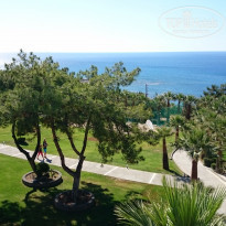 фото из отзыва ID 1366292