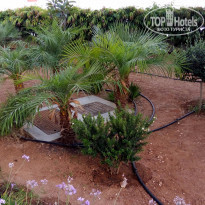 фото из отзыва ID 1366383