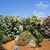 фото из отзыва ID 1366394