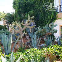 фото из отзыва ID 1366394