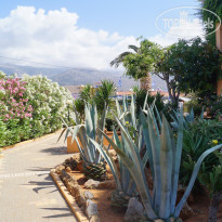 фото из отзыва ID 1366394