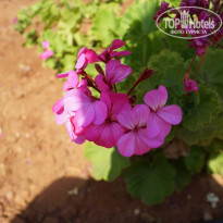 фото из отзыва ID 1366394