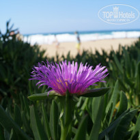 фото из отзыва ID 1366394