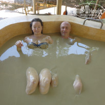 фото из отзыва ID 1366441