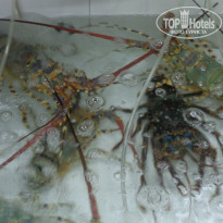 фото из отзыва ID 1366441