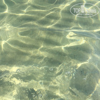 фото из отзыва ID 1366420