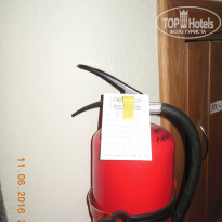 фото из отзыва ID 1366453