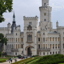 фото из отзыва ID 1366541