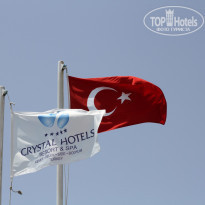 фото из отзыва ID 1366596