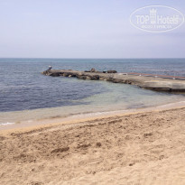 фото из отзыва ID 1366652