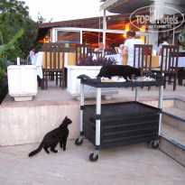 фото из отзыва ID 1366724