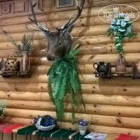 фото из отзыва ID 1366810