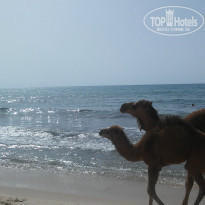 фото из отзыва ID 1366554