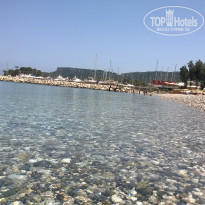 фото из отзыва ID 1366942