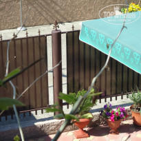 фото из отзыва ID 1366996