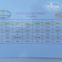 фото из отзыва ID 1367049