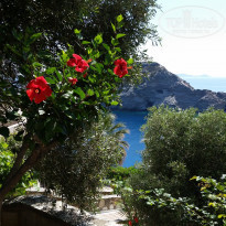 фото из отзыва ID 1367097