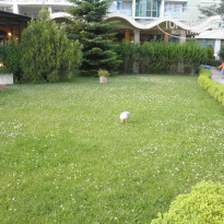 фото из отзыва ID 1367117