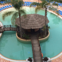 фото из отзыва ID 1367156