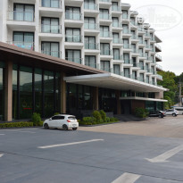 фото из отзыва ID 1367178