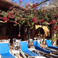 фото из отзыва ID 1367271