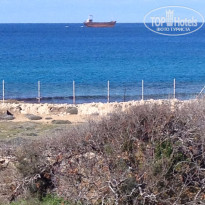 фото из отзыва ID 1367271