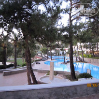 фото из отзыва ID 1367286