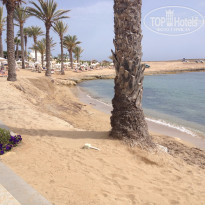 фото из отзыва ID 1367313