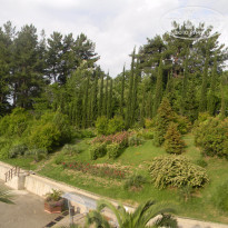 фото из отзыва ID 1367321