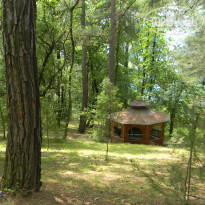 фото из отзыва ID 1367321