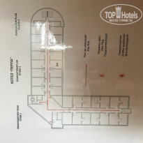 фото из отзыва ID 1367334