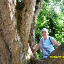 фото из отзыва ID 1367360