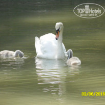 фото из отзыва ID 1367360