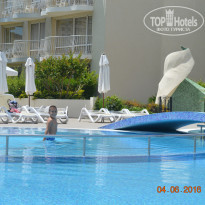 фото из отзыва ID 1367578