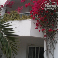 фото из отзыва ID 1361859