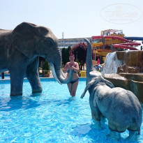 фото из отзыва ID 1367721