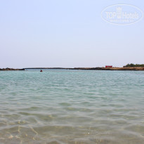 фото из отзыва ID 1367750