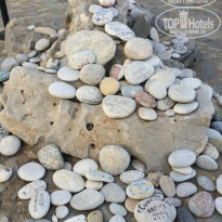 фото из отзыва ID 1367766