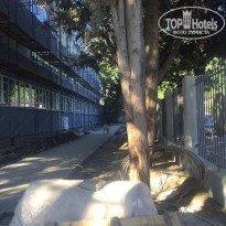 фото из отзыва ID 1367813