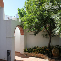 фото из отзыва ID 1367943