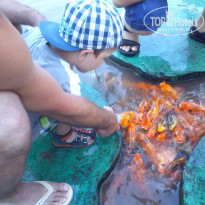 фото из отзыва ID 1367948