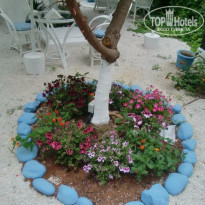 фото из отзыва ID 1368036