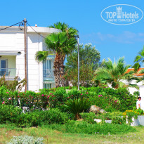 фото из отзыва ID 1368267