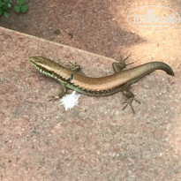 фото из отзыва ID 1368321