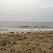 фото из отзыва ID 1368321